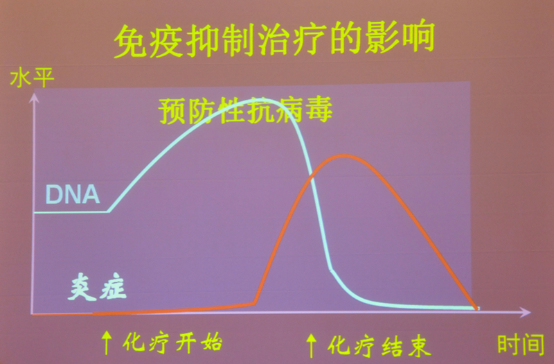 肝炎新進展揭秘，小巷深處的秘密小店探索