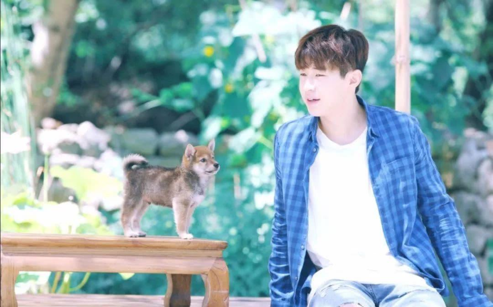 夏雪黃磊攜手演繹別樣精彩人生，新作品震撼來襲！???