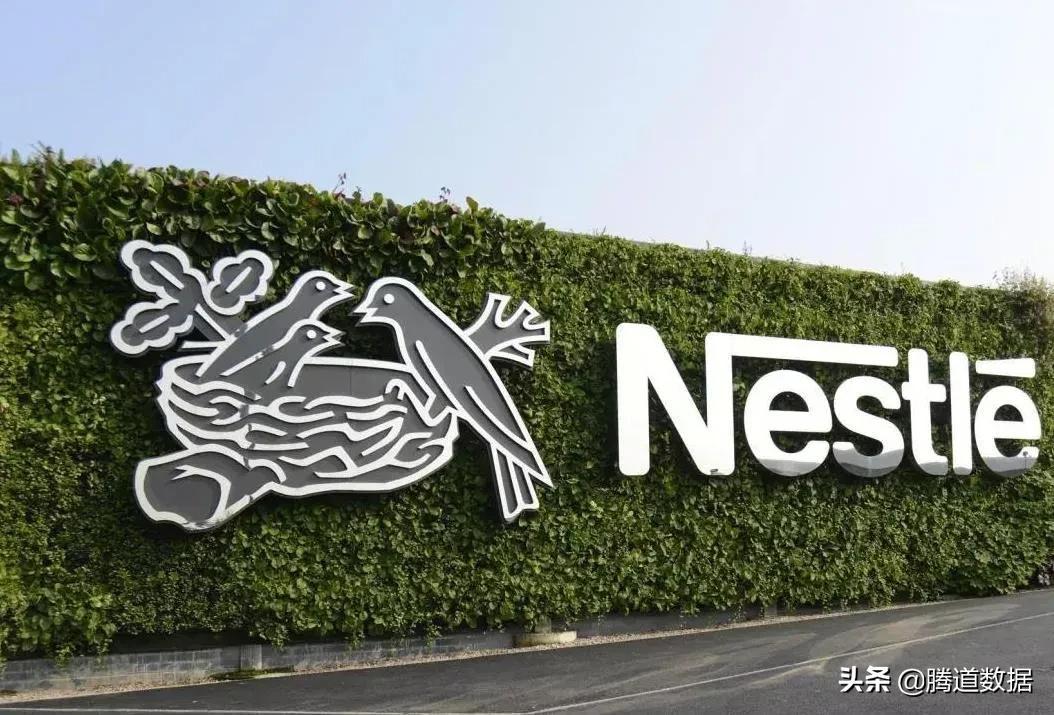 最新電力資訊探秘，巷弄深處的電力奇趣小店