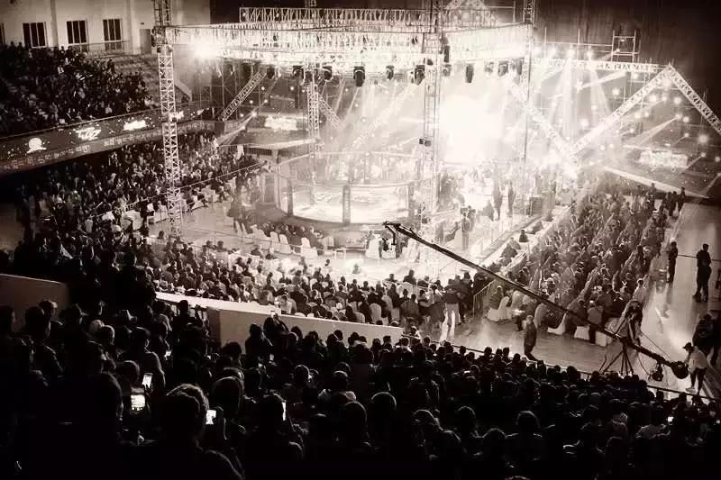 武林籠中對最新一期，自然美景中的對決與內(nèi)心平靜之旅