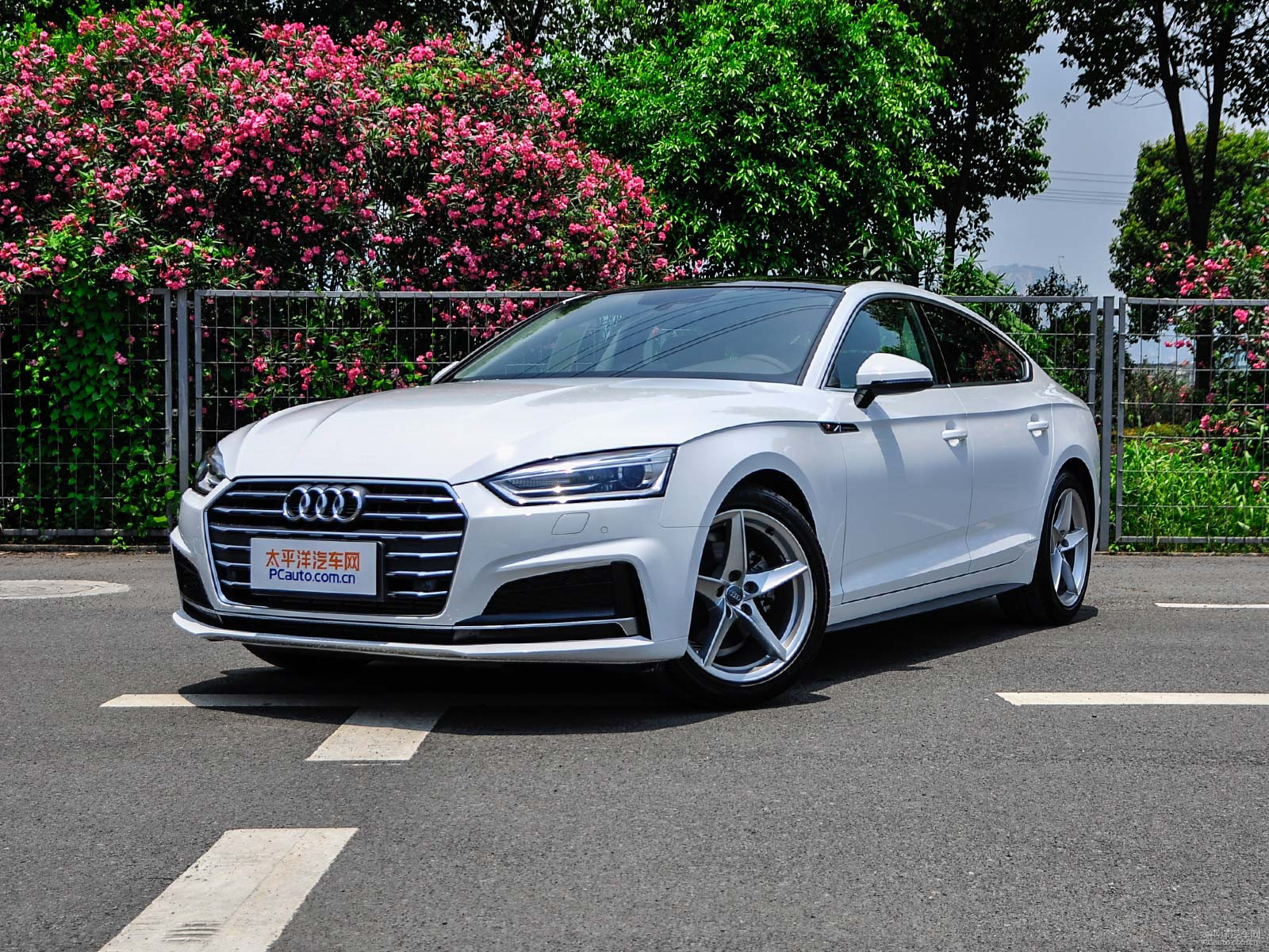 新款奧迪A5價格及圖片，自然美景探索之旅的絕佳選擇