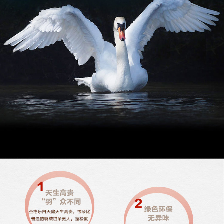 探索小巷羽絨寶藏，90白鵝絨價(jià)格與溫暖故事