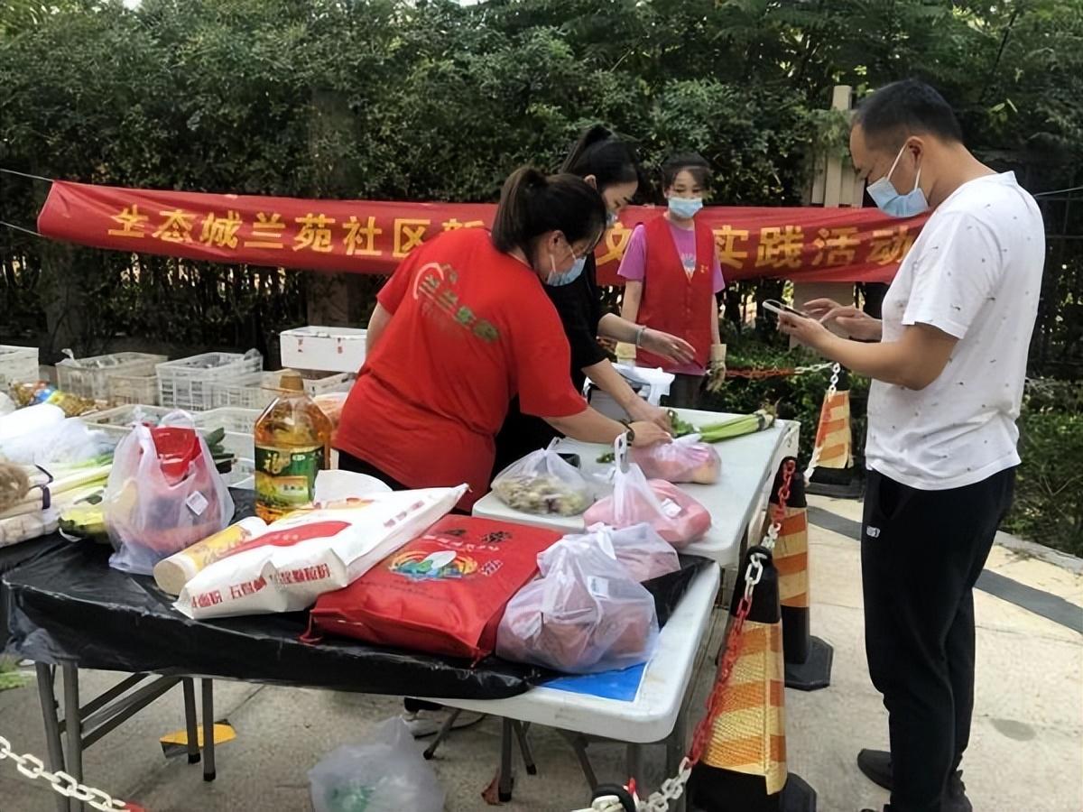 保利華潤紫云價格深度解析，探尋背后的故事與地位影響