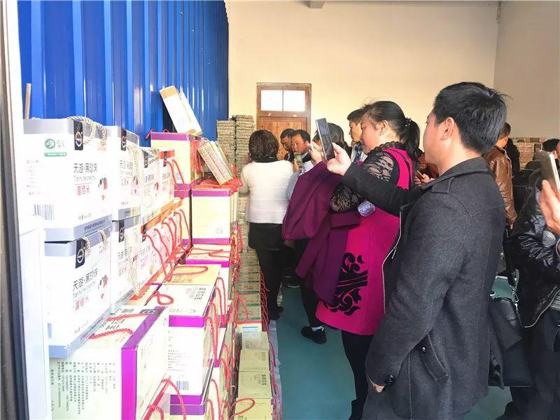 最新職業(yè)資訊，洞悉行業(yè)趨勢與人才需求洞察