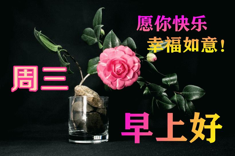 最新早晨問候動(dòng)態(tài)表情包，溫馨問候，從表情開始！