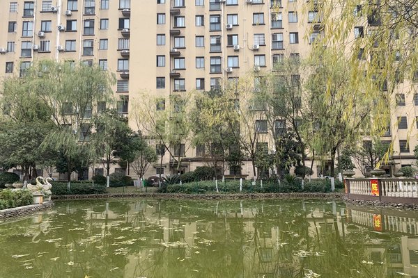 中豪明珠城最新價(jià)格，時(shí)代印記與城市的脈動(dòng)