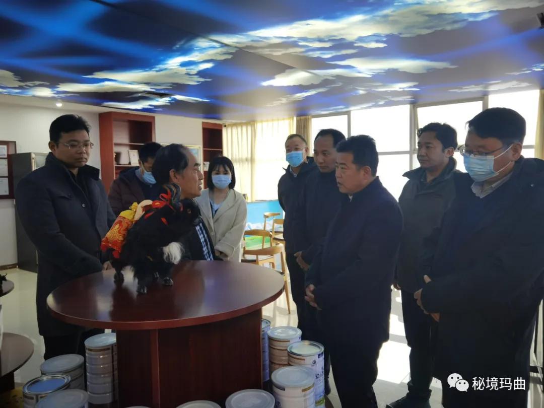 高原之寶上市，學(xué)習(xí)、蛻變與自信的輝煌之旅