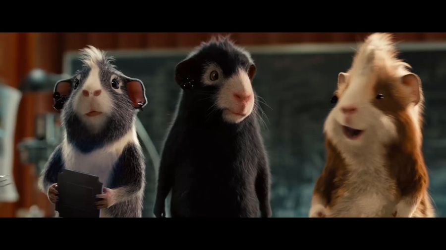 豚鼠電影,豚鼠電影，科技巨獻(xiàn)，重塑觀影體驗(yàn)