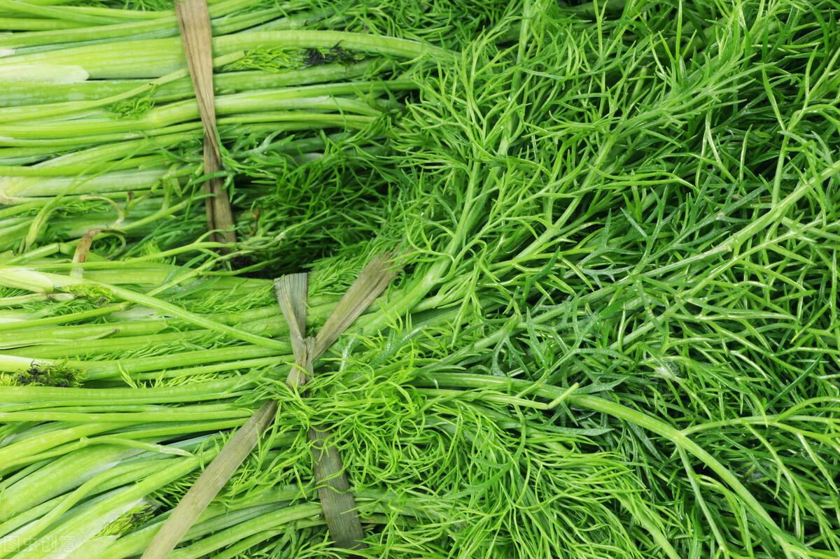 茴香價(jià)格動態(tài)，香氣變化與你的關(guān)聯(lián)