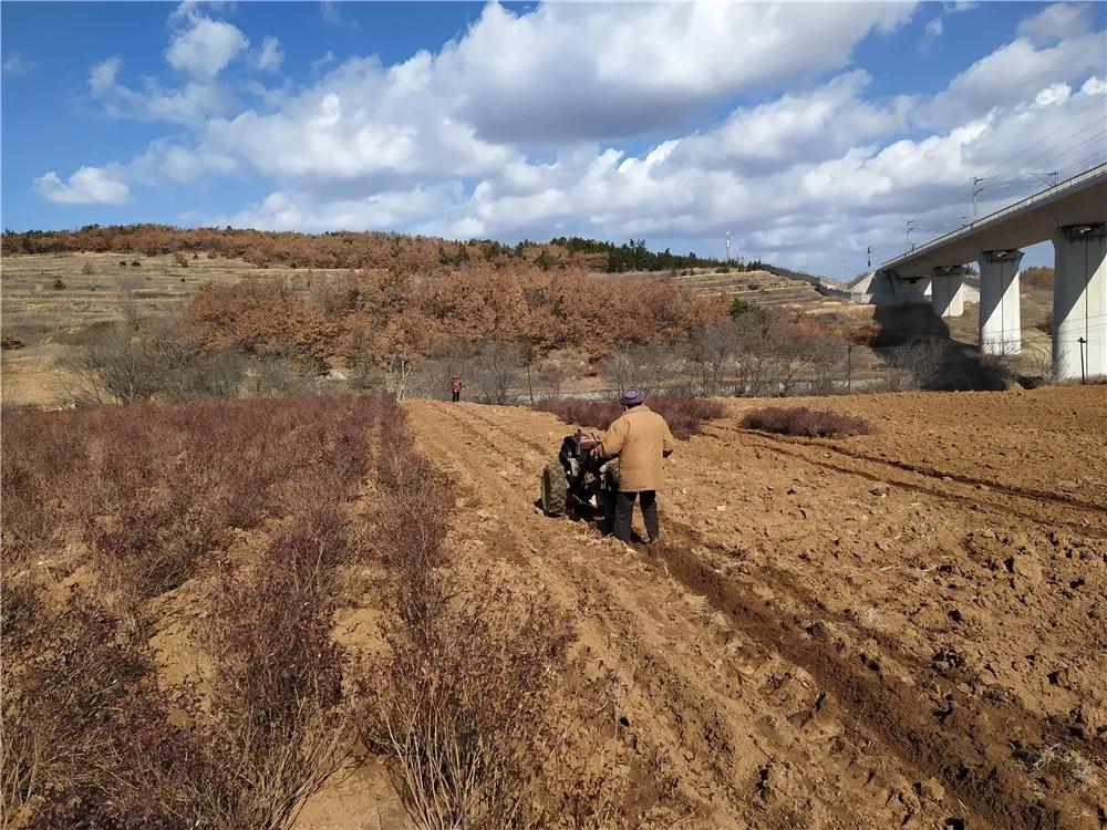 揭秘衡陽張家山規(guī)劃更新，小巷風情與隱藏小店的獨特魅力