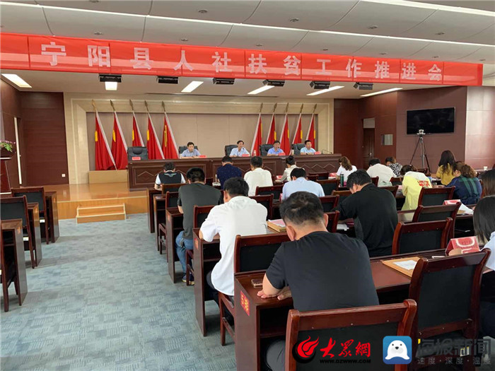 寧陽網最新資訊，城市中的溫情日常