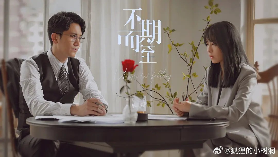 不期而至電視劇，從入門到進(jìn)階的觀看指南