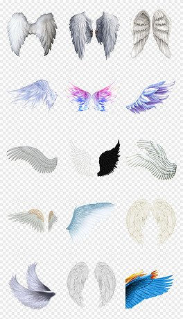 動(dòng)漫翅膀繪制指南，從白紙起步，繪出飛翔的勵(lì)志翅膀！