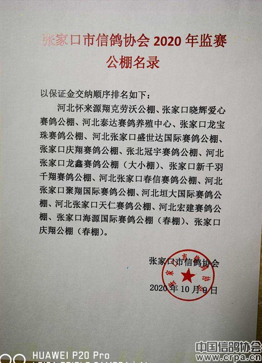 東光信鴿協(xié)會最新通告，小巷深處的獨特風味揭秘與信鴿活動更新通知