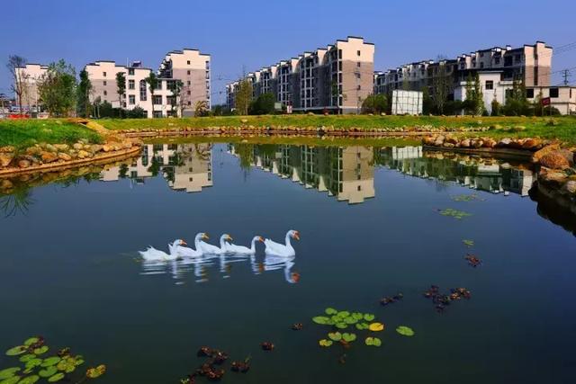 萍鄉(xiāng)安源湖，最新動態(tài)揭示湖畔變革與自我超越之旅