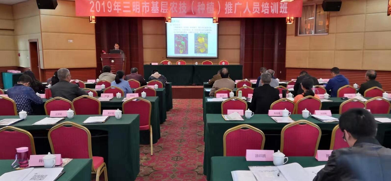 豇豆最新，廚房中的友情與家的溫馨