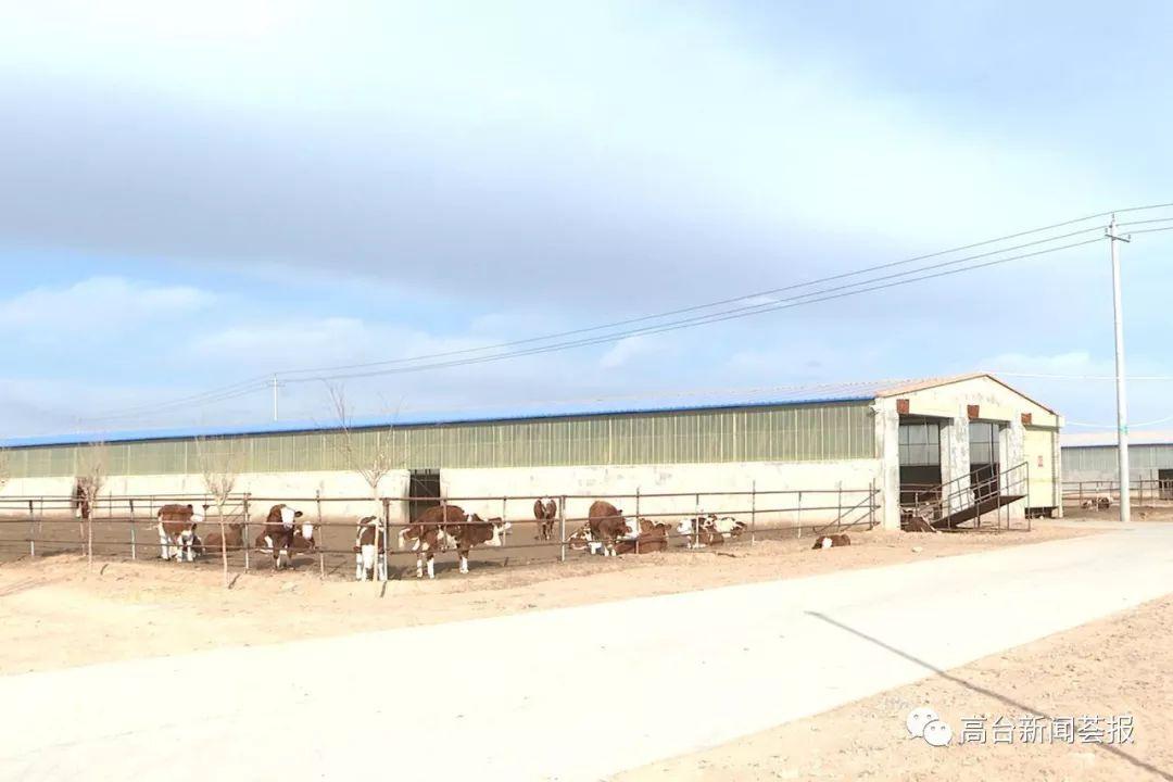 最新養(yǎng)殖場(chǎng)建設(shè)政策解讀，探索之旅啟程