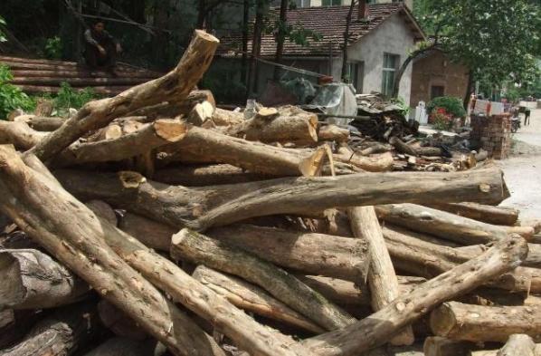 今天黃金價格動態(tài)及小巷寶藏探索揭秘