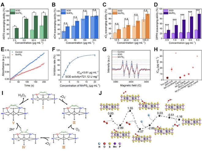 頭發(fā)再生研究新動態(tài),頭發(fā)再生研究新動態(tài)，小巷深處的秘密秀發(fā)實(shí)驗(yàn)室