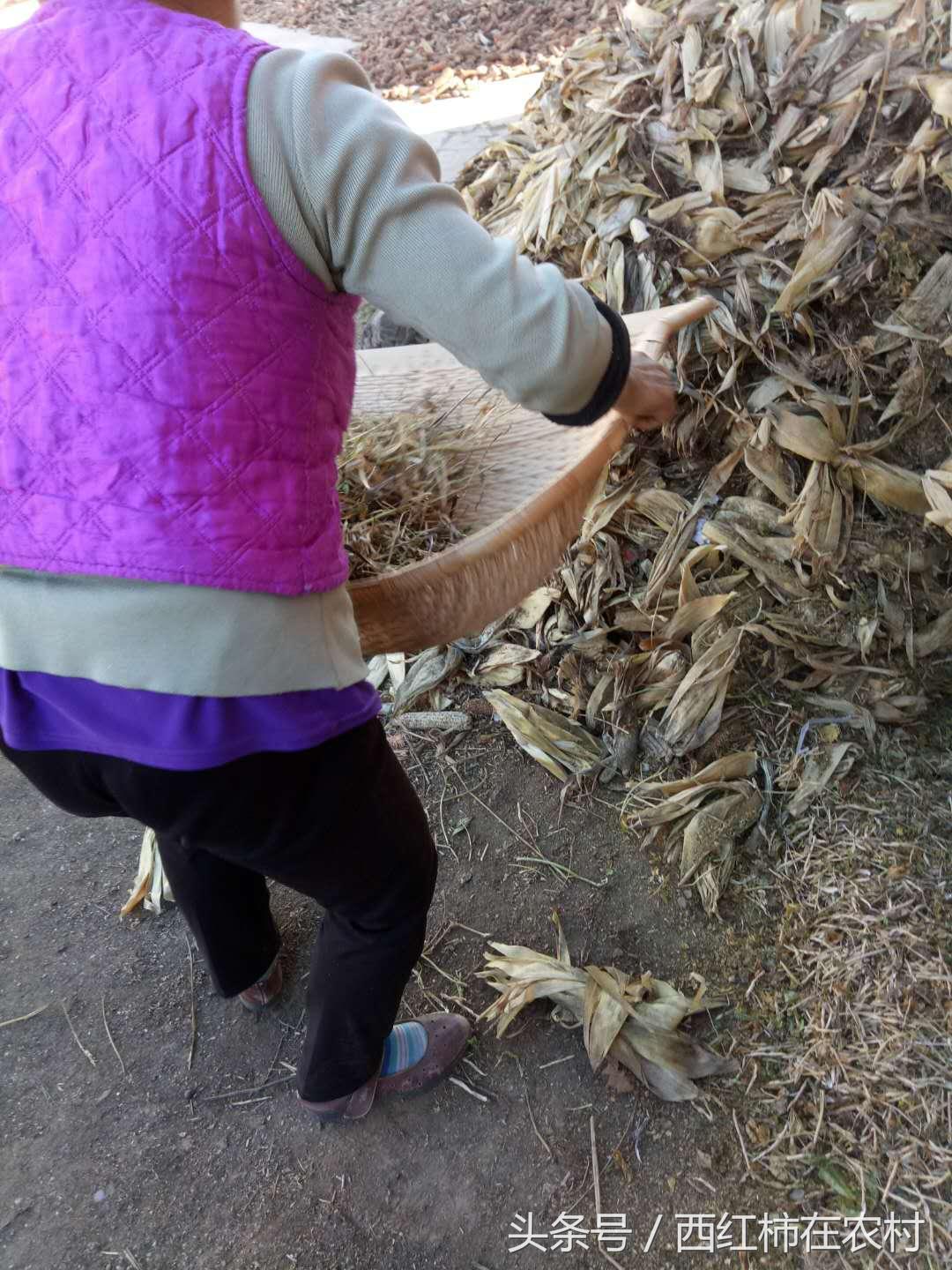 彬縣撤縣設(shè)區(qū)最新進(jìn)展，最新動(dòng)態(tài)更新