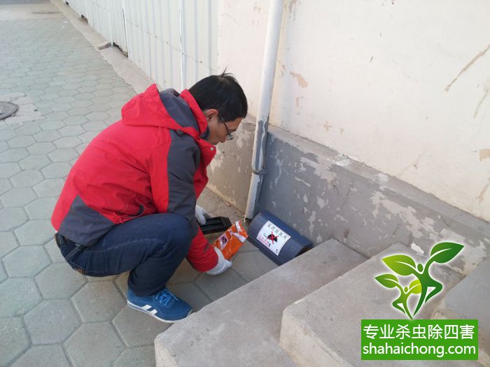 最新滅鼠技術(shù)的觀點(diǎn)論述與立場闡述，創(chuàng)新方法的探索與挑戰(zhàn)