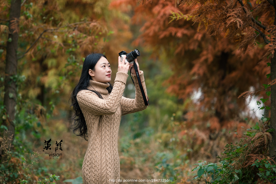 伊人在線電影，探索現(xiàn)代網(wǎng)絡影視的新境界