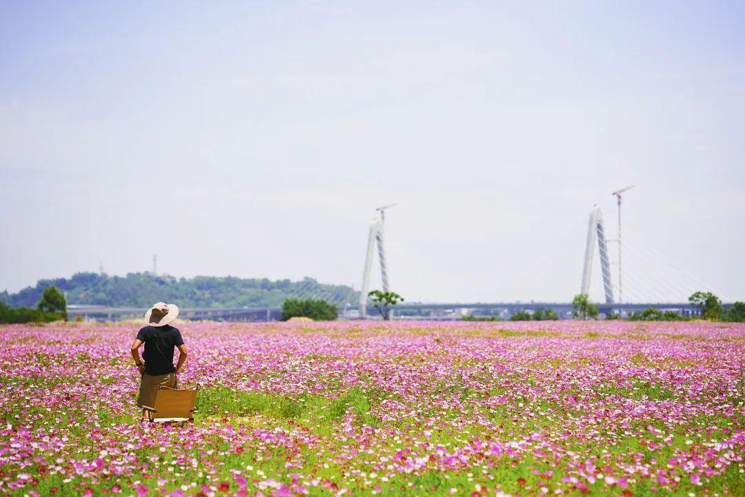 陳小北聚焦科技前沿，引領(lǐng)創(chuàng)新潮流新動(dòng)態(tài)