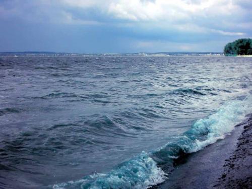 佳木斯新版，時(shí)代印記與變遷的見證者