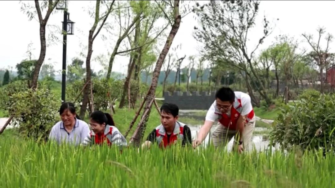 曲陽縣城最新招聘信息揭秘，小巷中的獨(dú)特小店等你來探索！