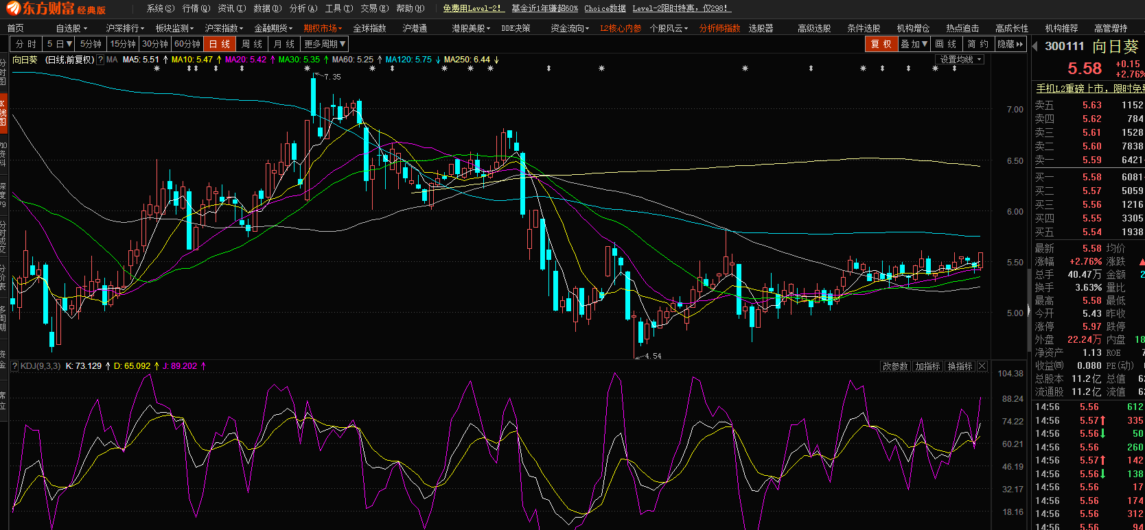 股市小天地，友情大天地——我與股票300141的日常故事分享