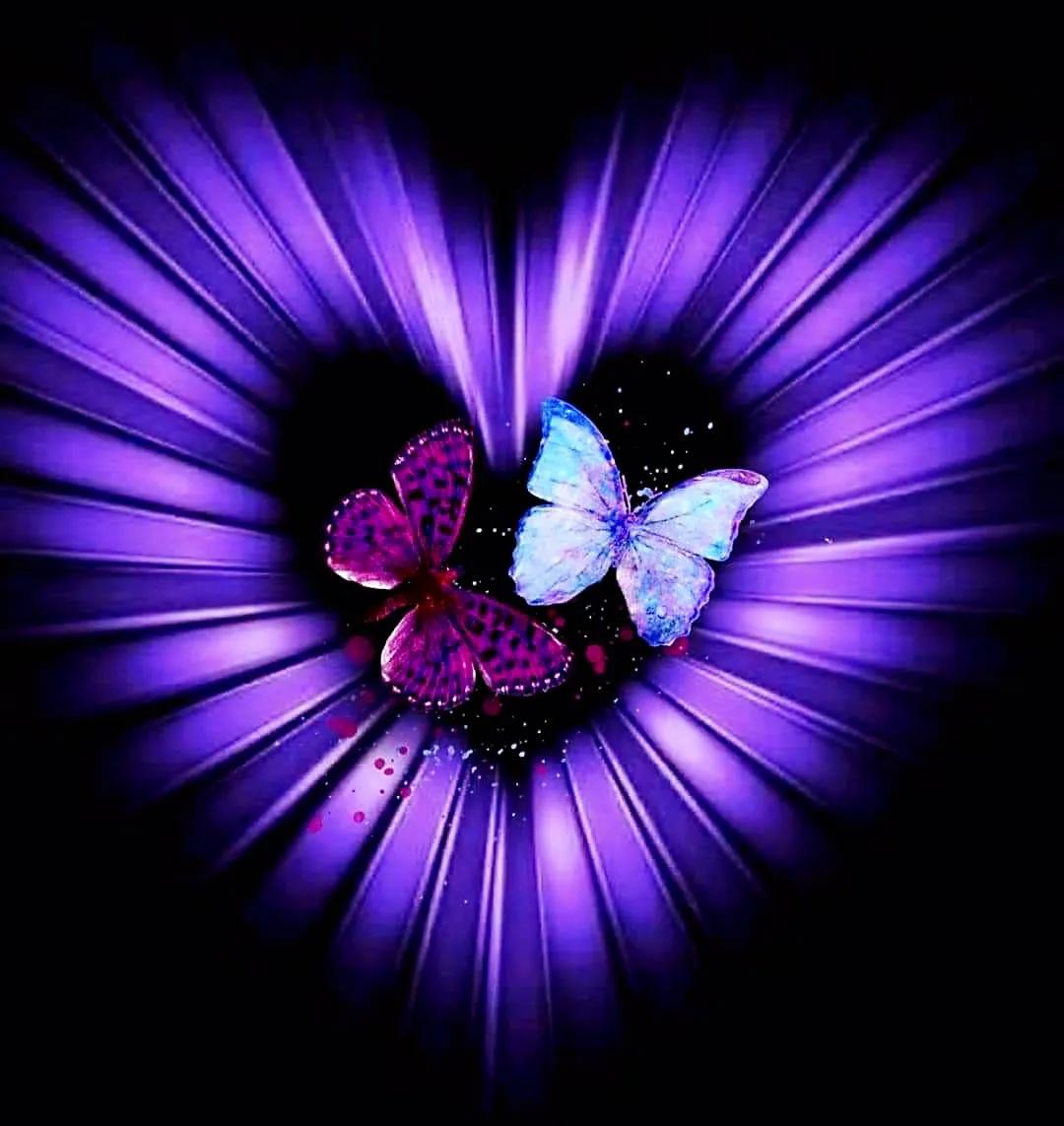 最新情感交流圈，學(xué)習(xí)、成長(zhǎng)與自信的力量之源