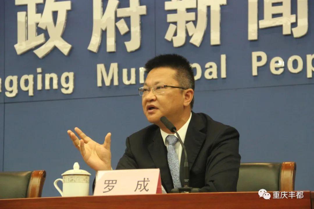 豐都新聞快訊，日常溫情與陪伴的瞬間