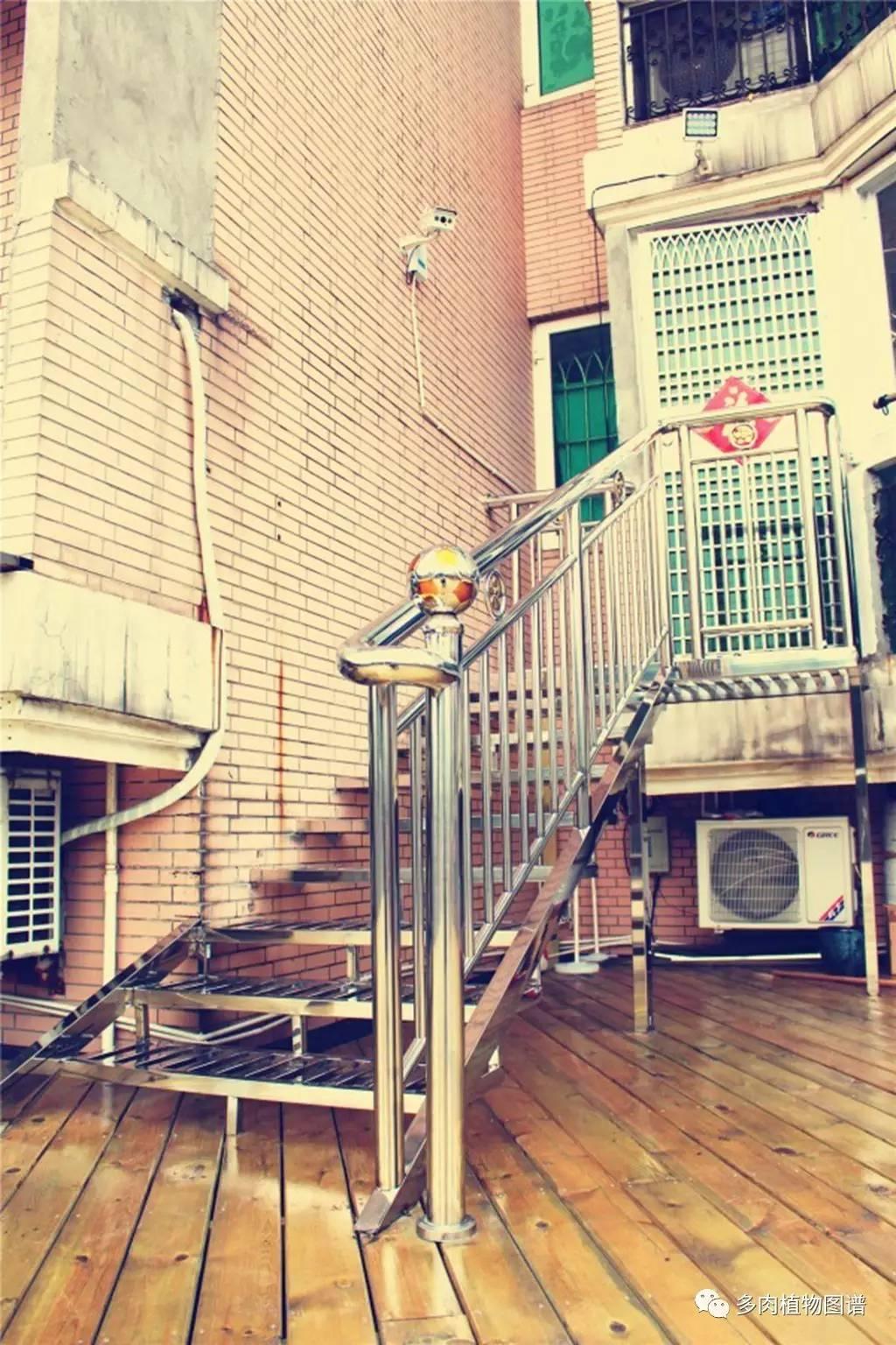 自產(chǎn)自用等同銷售的高科技產(chǎn)品介紹，最新科技與商業(yè)融合的創(chuàng)新實(shí)踐