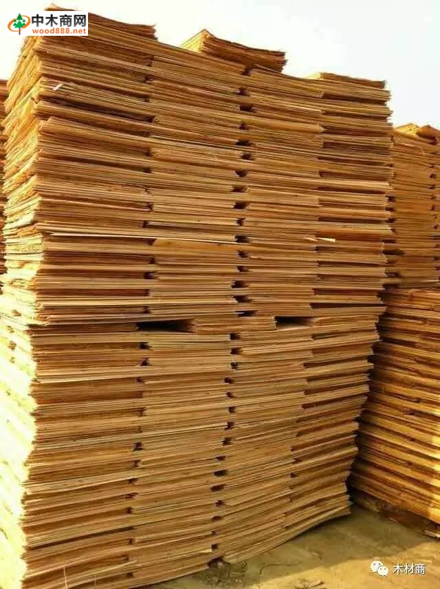 科技革新引領(lǐng)板皮廠行情，開啟板材加工新時(shí)代