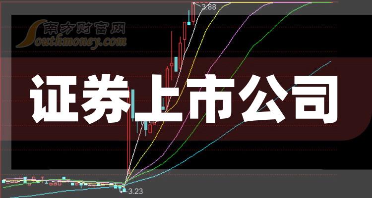科技巨頭引領(lǐng)下的全新視界，股票上市公司概覽