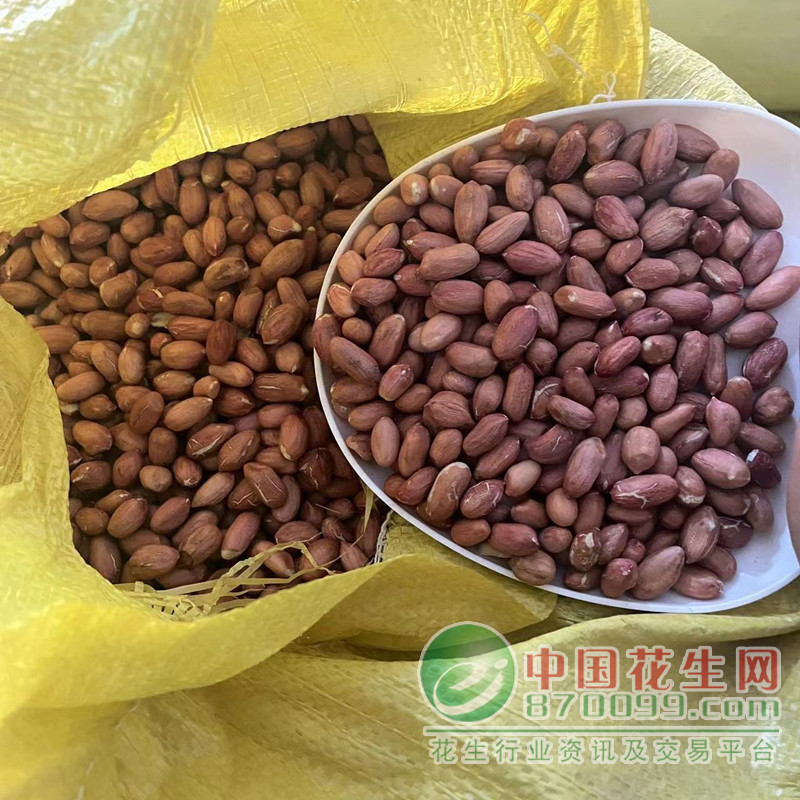 汝南花生米最新市場價(jià)格概況