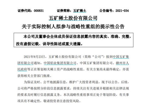 南方稀土股票，小巷中的隱秘寶藏，探索投資魅力的未知之旅