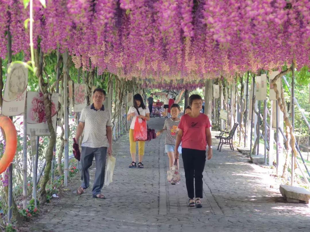 收入寶全新版本，家庭與友情的交織故事