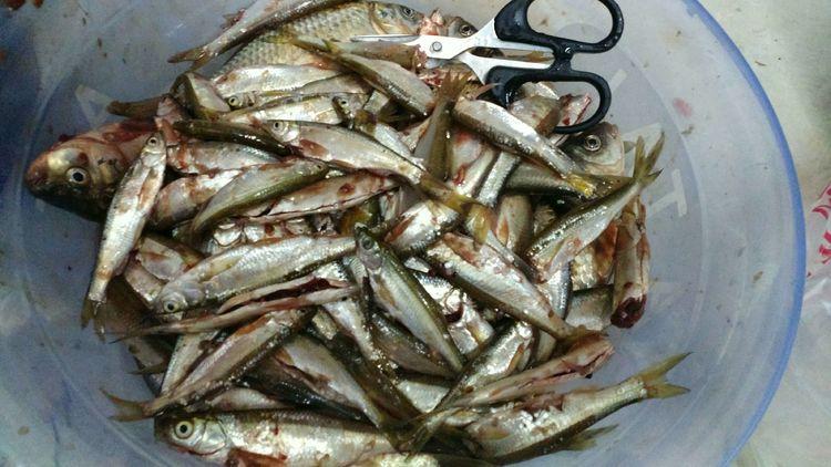 昆明最新野釣地點探索，重拾生活激情與自信的自然之旅