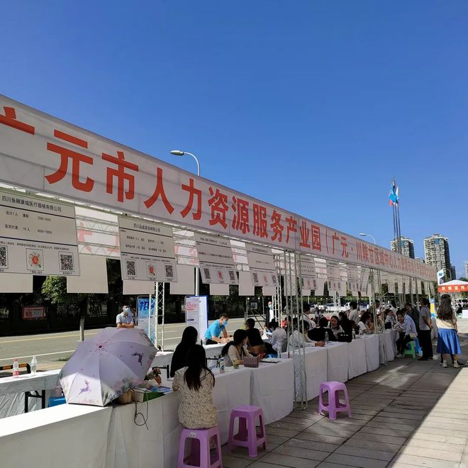 廣元最新招聘資訊詳解，觀點闡述與解析