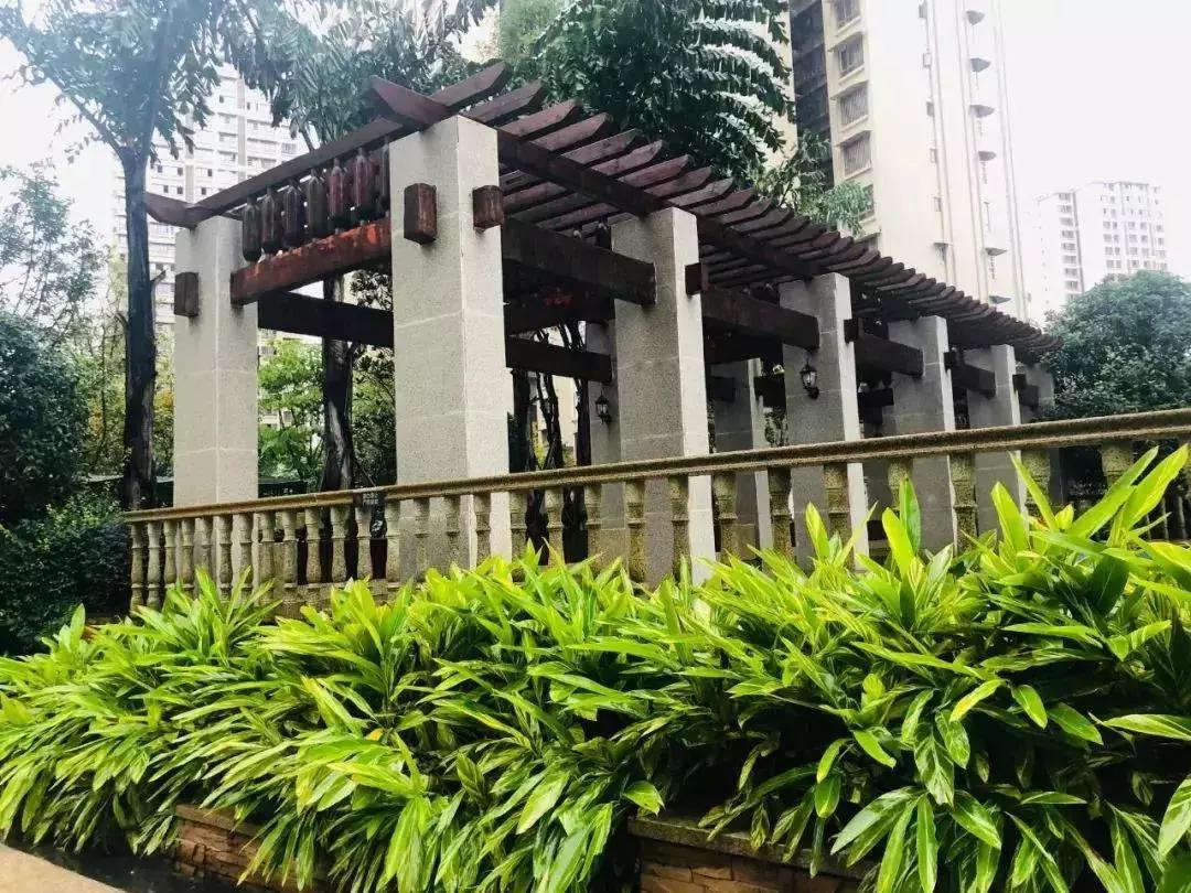 陽(yáng)光江山金岸最新動(dòng)態(tài)揭秘，全面指南與步驟詳解