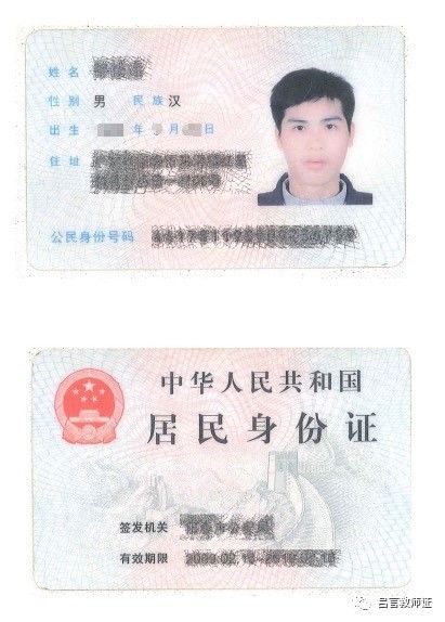 最新證照，友情與陪伴的溫馨故事之旅