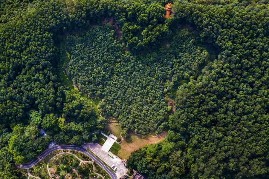 香港演員林，溫馨日常的點(diǎn)滴記錄