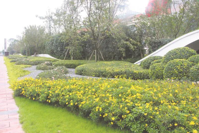 嬢王演員的自然之旅，邂逅美景，尋找內(nèi)心平和之道