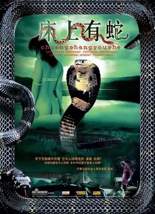 最新蛇片，蛻變的旅程，召喚自信與成就感的冒險(xiǎn)之旅