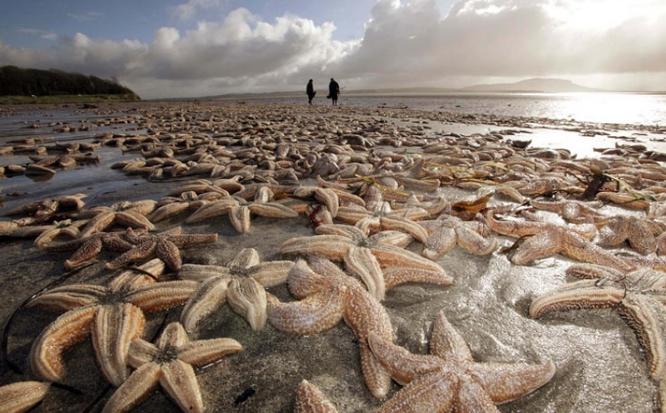 死亡擱淺電影，小巷深處的獨特觀影之旅