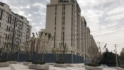 趙村最新動態(tài)，鄉(xiāng)村振興新篇章開啟