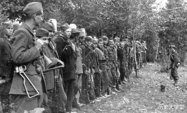 南斯拉夫電影二戰(zhàn)老片，自然美景背后的探索之旅