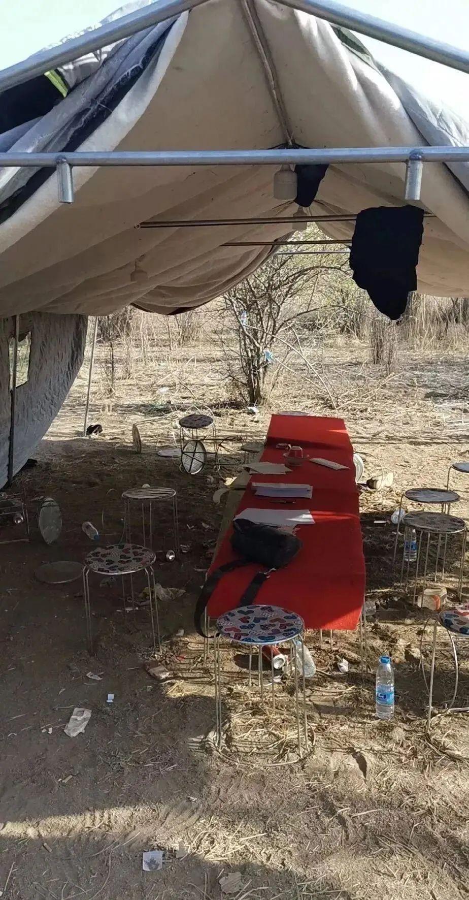 永寧望遠最新職位招聘，時代脈搏下的職場新篇章