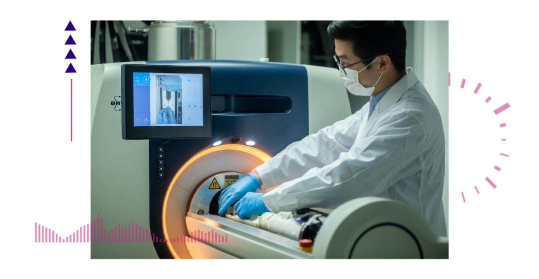 香港脊髓研究取得新進(jìn)展，探索自然美景的心靈之旅新篇章